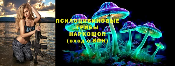 ГАЛЛЮЦИНОГЕННЫЕ ГРИБЫ Баксан