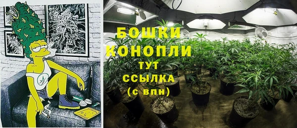 PSILOCYBIN Зеленокумск