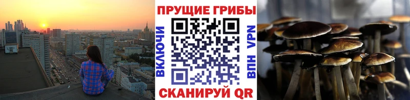 Псилоцибиновые грибы GOLDEN TEACHER  Озёры 